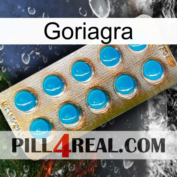 Goriagra new09.jpg